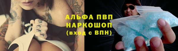 СК Арсеньев