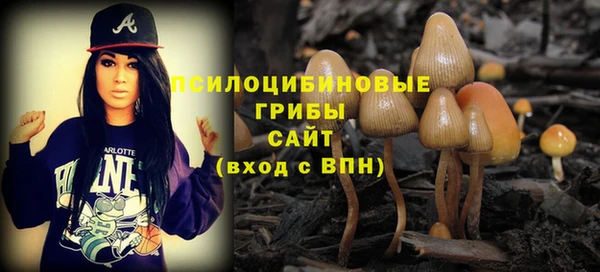 дурь Аркадак