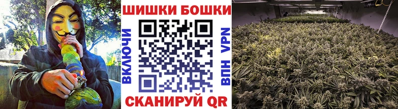 darknet наркотические препараты  KRAKEN ссылка  Новая Ляля  Бошки Шишки Ganja 
